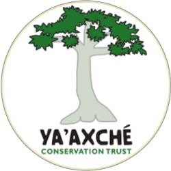 Ya’axché Conservation Trust